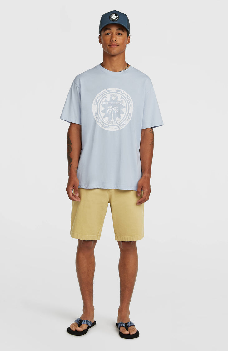 T-shirt O'Neill Must-Have Graphic | Spindle