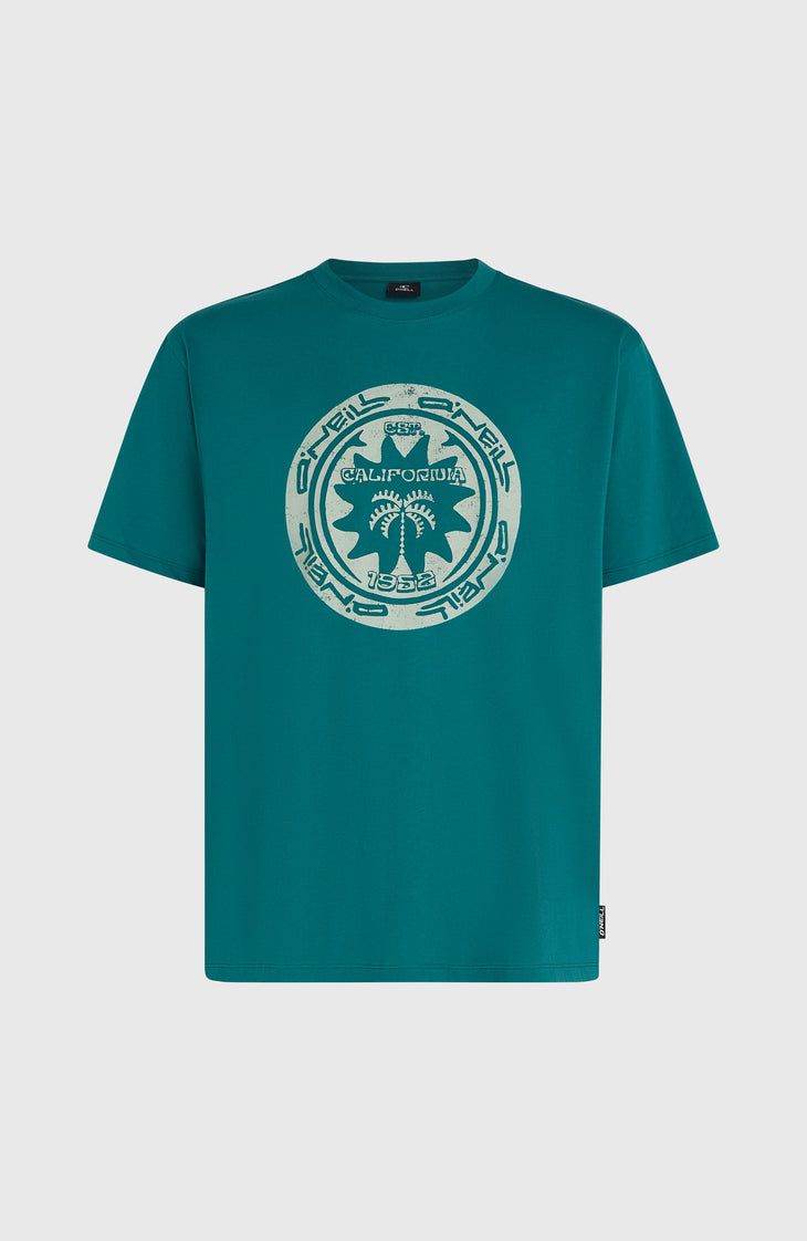 T-shirt O'Neill Must-Have Graphic | Botanical Heat