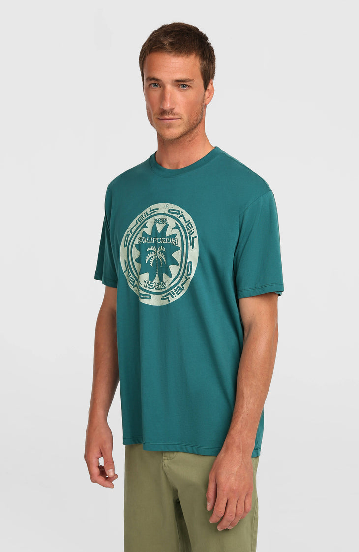 T-shirt O'Neill Must-Have Graphic | Botanical Heat