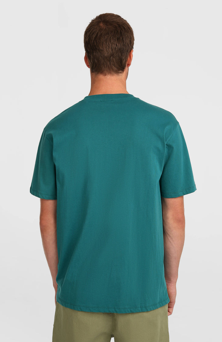 T-shirt O'Neill Must-Have Graphic | Botanical Heat