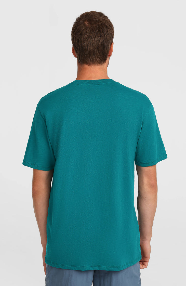 T-shirt O'Neill Slub Chest Pocket | Botanical Heat