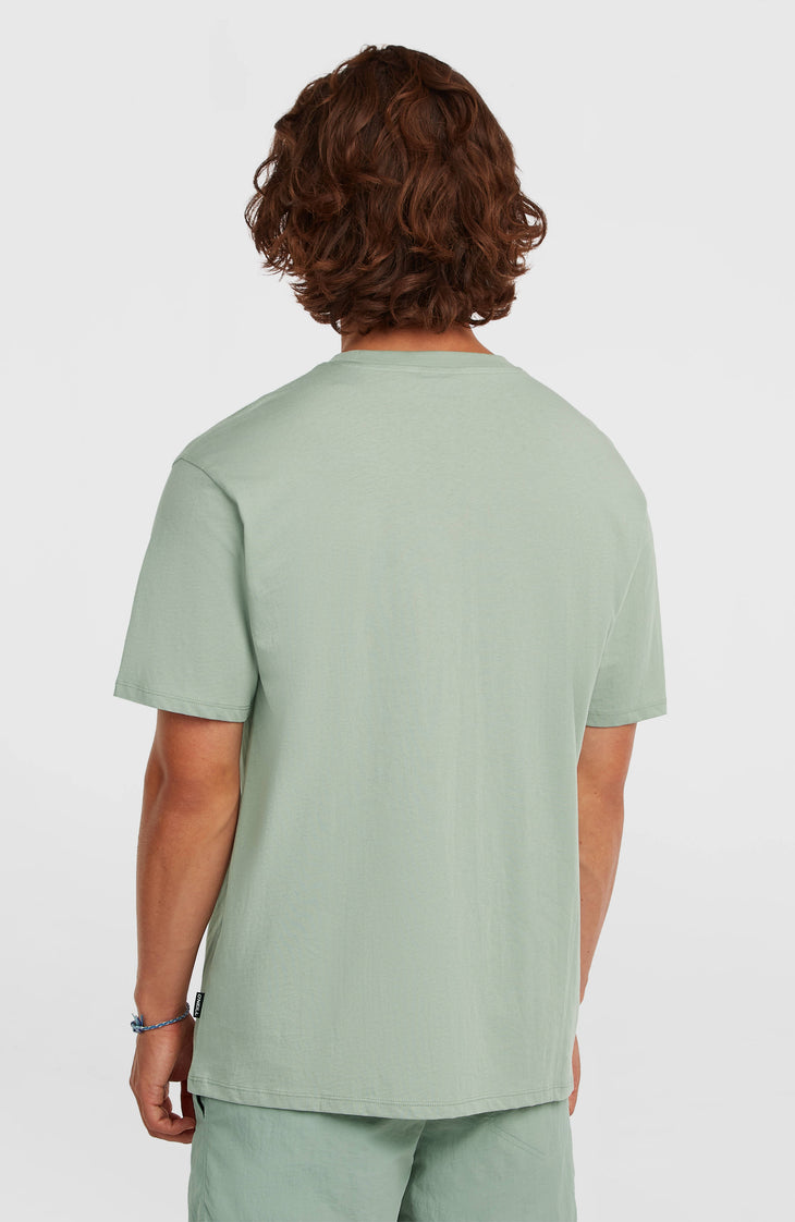T-shirt O'Neill Small Logo | Marble Arch