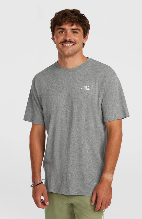 T-shirt O'Neill Small Logo | Silver Melee