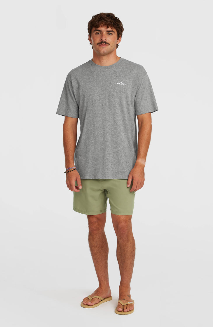 T-shirt O'Neill Small Logo | Silver Melee