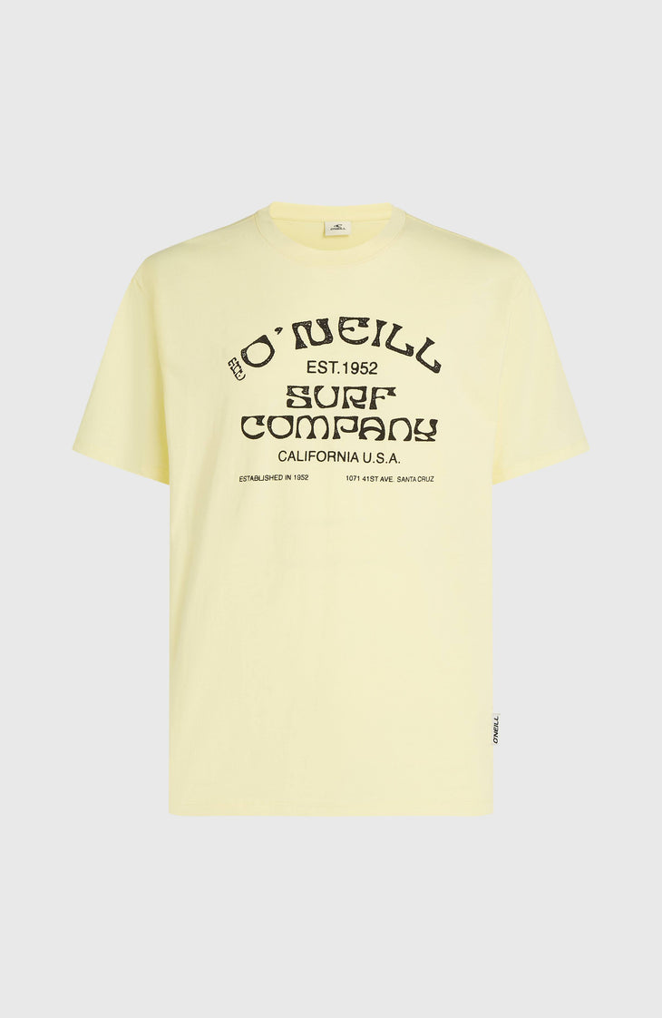 T-shirt O'Neill Muir | Rainforest Dew