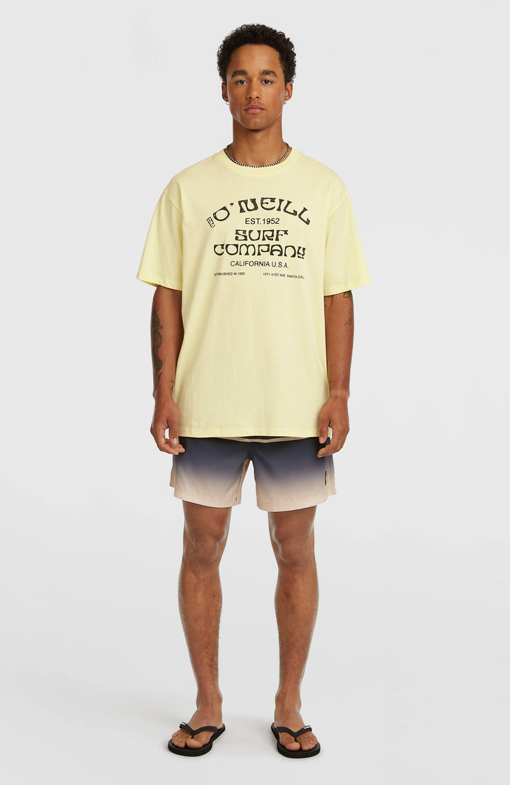 T-shirt O'Neill Muir | Rainforest Dew
