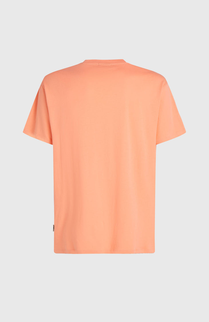 T-shirt O'Neill Muir | Funky Peach
