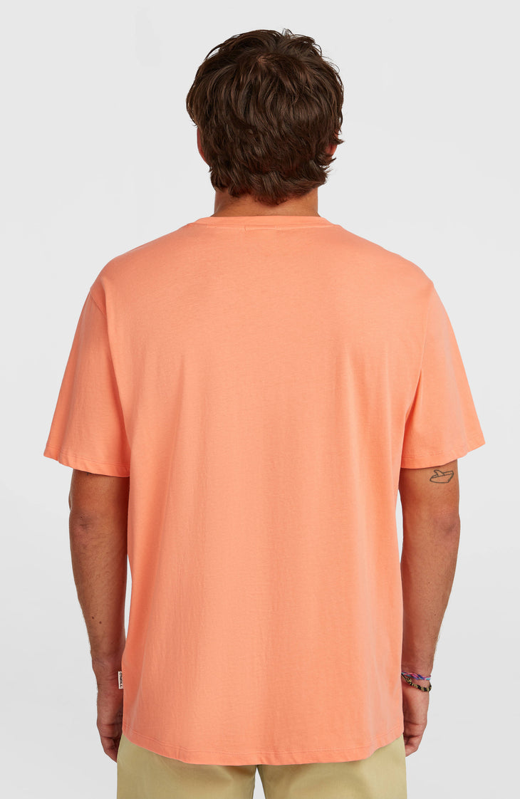 T-shirt O'Neill Muir | Funky Peach