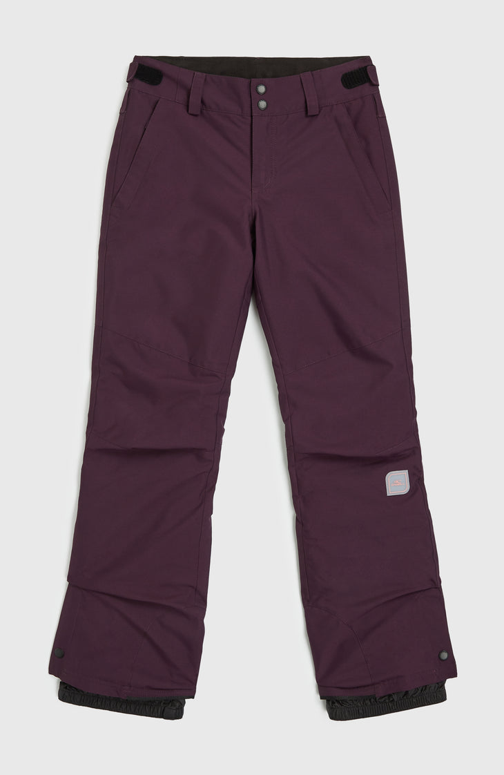 Pantalon de ski Star Regular | Aubergine