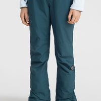 Pantalon de ski Star Regular | Alma Steel