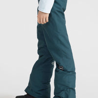 Pantalon de ski Star Regular | Alma Steel