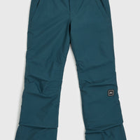 Pantalon de ski Star Regular | Alma Steel