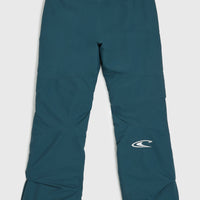 Pantalon de ski Star Regular | Alma Steel