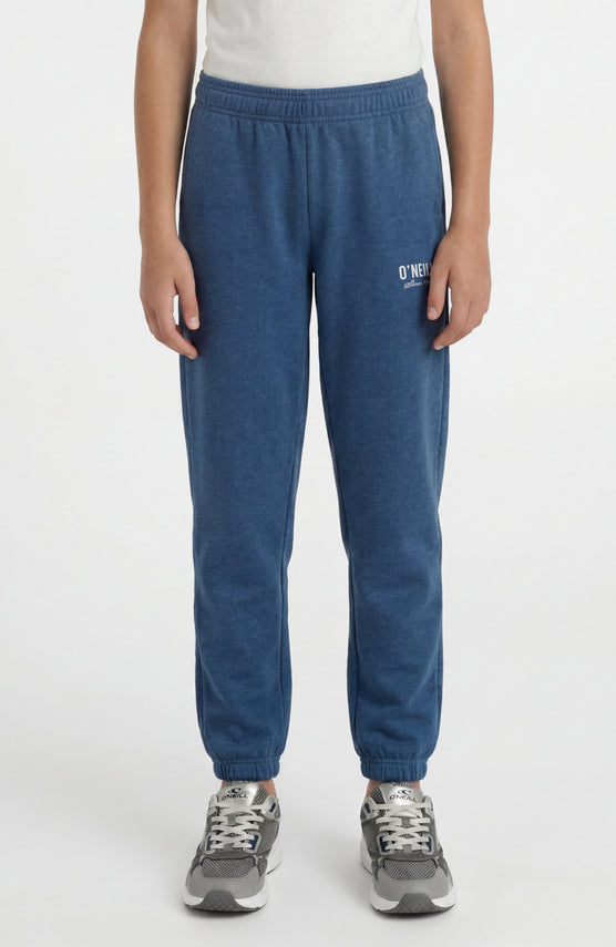 Pantalon de survêtement Essentials | Regal Blue
