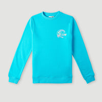 Sweat Circle surfer Crew | Bachelor Button