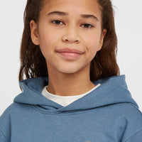 Sweat à capuche Essentials | Mozart Blue