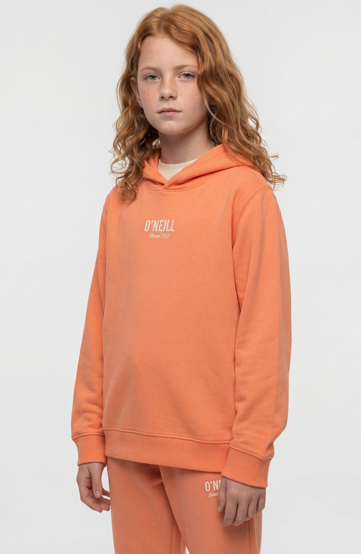 Sweat à capuche Essentials | Funky Peach