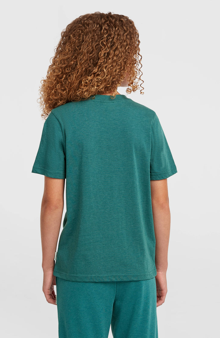 T-shirt Script | Botanical Heat