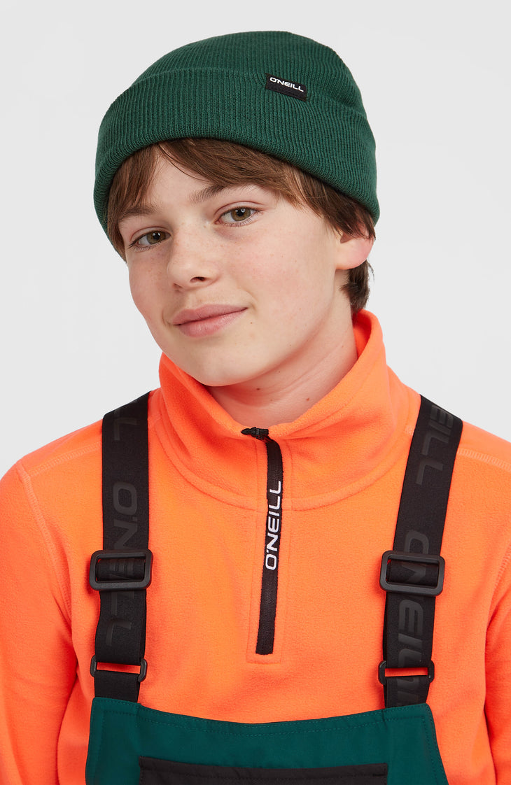 Bonnet Dolomite | Emerald Envy