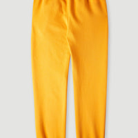 Pantalon de jogging Future Surf | Nugget