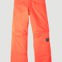 Pantalon de snow Hammer | Neon Orange