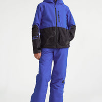 Pantalon de snow Hammer | Surf the web Blue