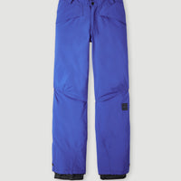 Pantalon de snow Hammer | Surf the web Blue