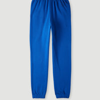 Pantalon de survêtement Future Surf Society | Surf the web Blue