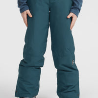 Pantalon de ski Hammer | Alma Steel