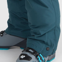 Pantalon de ski Hammer | Alma Steel