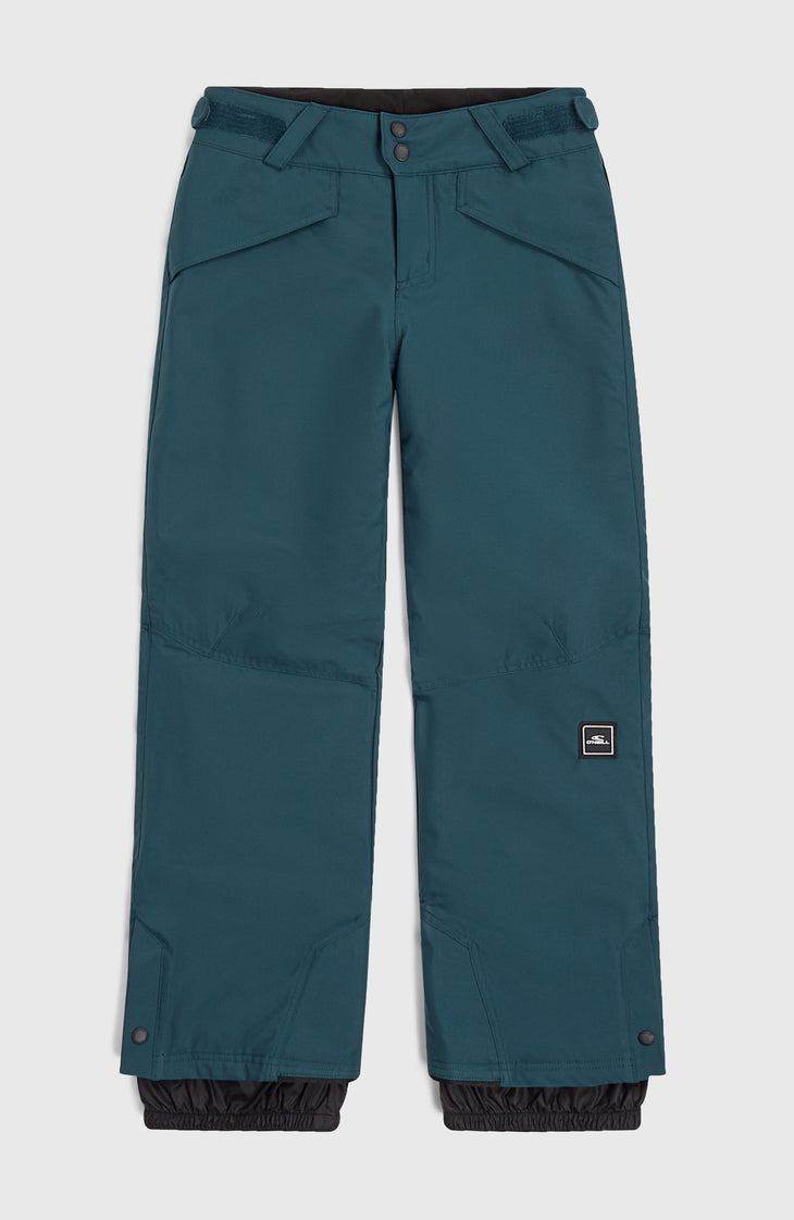 Pantalon de ski Hammer | Alma Steel