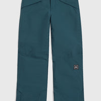 Pantalon de ski Hammer | Alma Steel