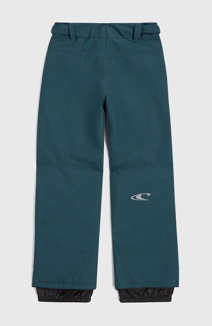Pantalon de ski Hammer | Alma Steel