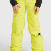 Pantalon de ski Hammer | Luca Lime