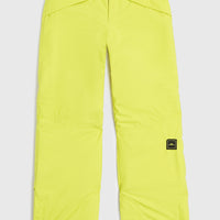 Pantalon de ski Hammer | Luca Lime