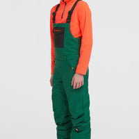 Salopette de ski FWC'Cruz | Emerald Envy Colour Block