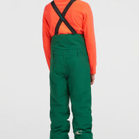 Salopette de ski FWC'Cruz | Emerald Envy Colour Block