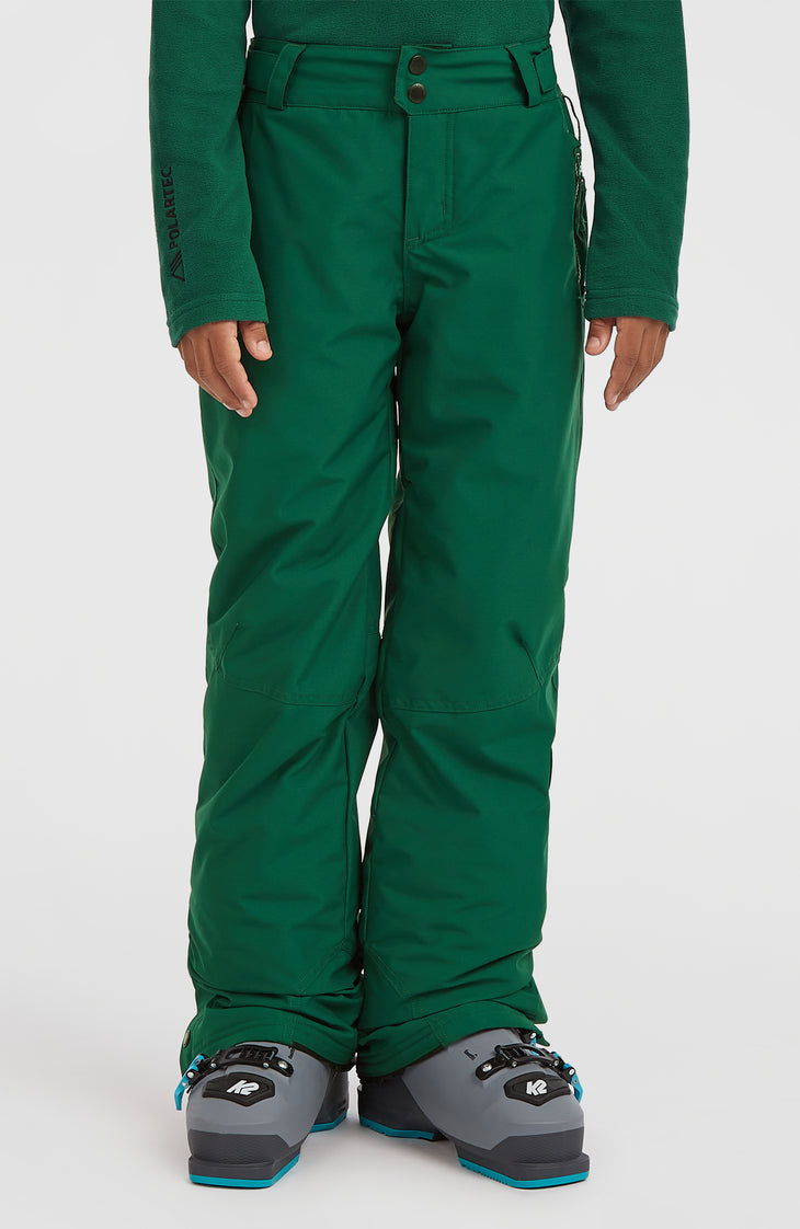 Pantalon de ski FWC'Cruz | Emerald Envy