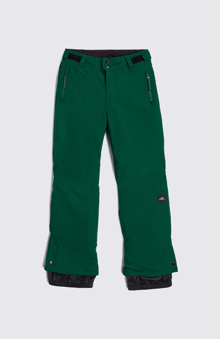 Pantalon de ski FWC'Cruz | Emerald Envy