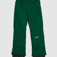 Pantalon de ski FWC'Cruz | Emerald Envy