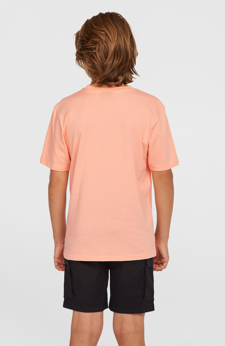 Short cargo | Black Out