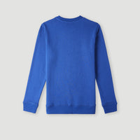 Sweatshirt O'Neill Crew | Surf the web Blue