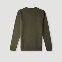 Sweatshirt O'Neill Crew | Forest Night