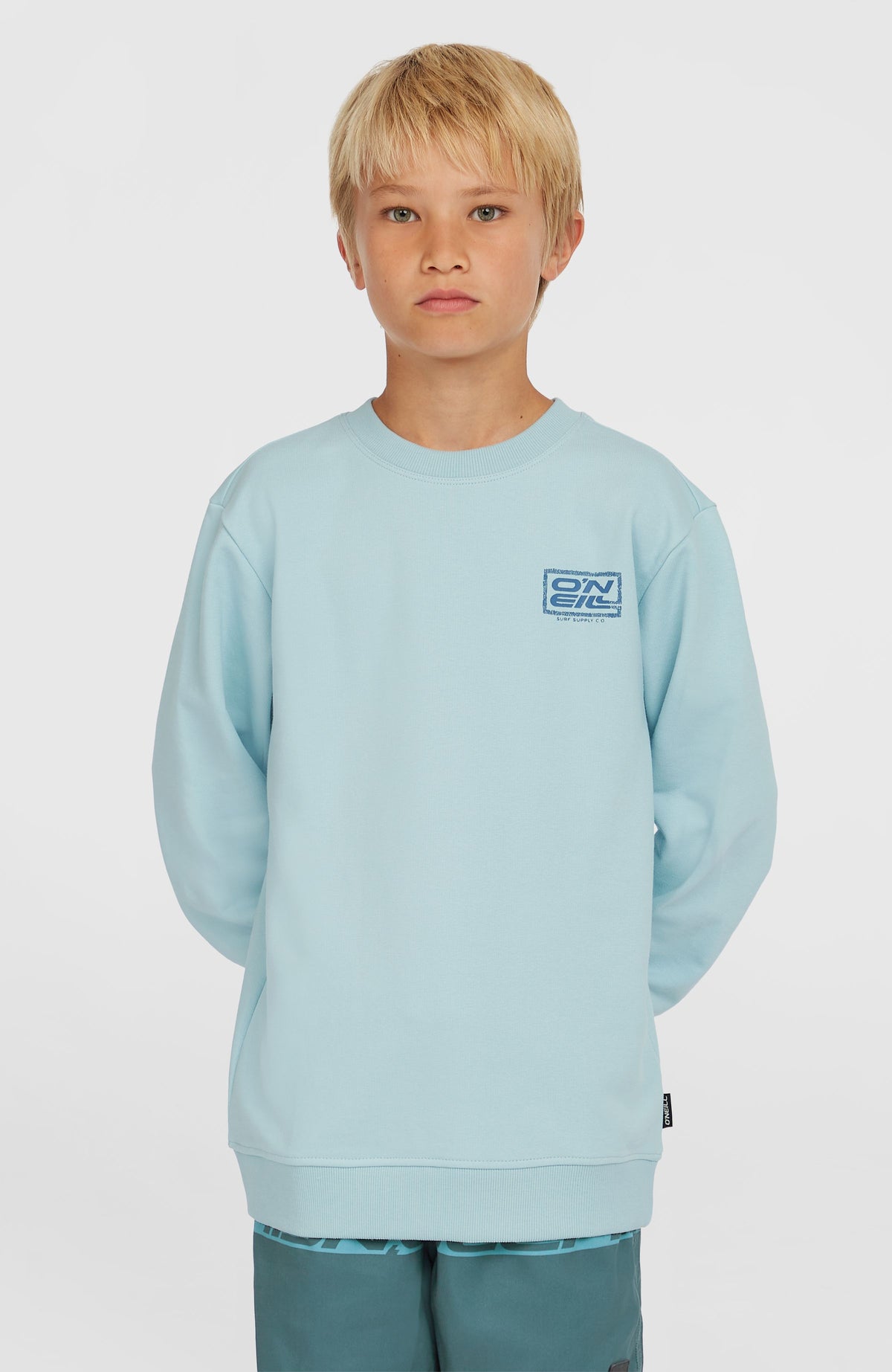 Sweatshirt Logo Crew | Morning Glory