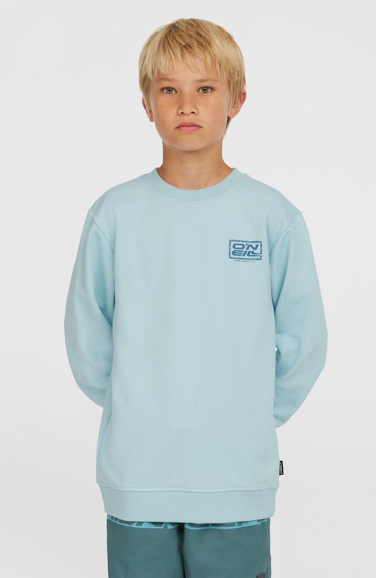 Sweatshirt Logo Crew | Morning Glory