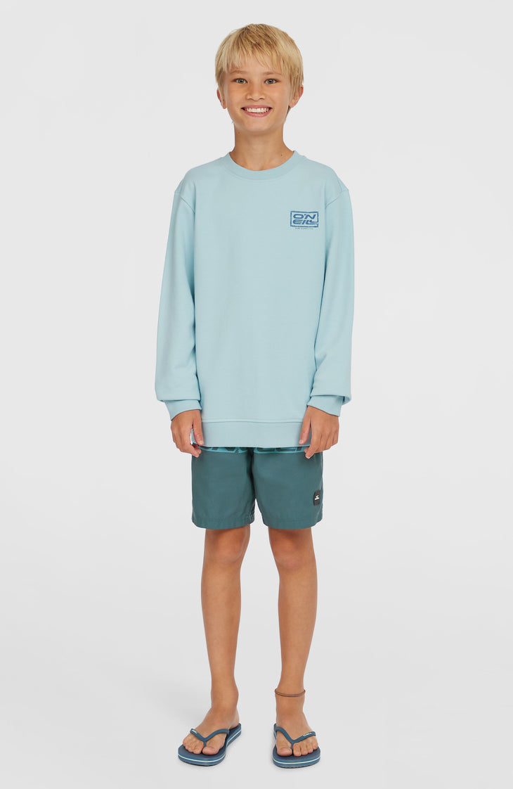 Sweatshirt Logo Crew | Morning Glory