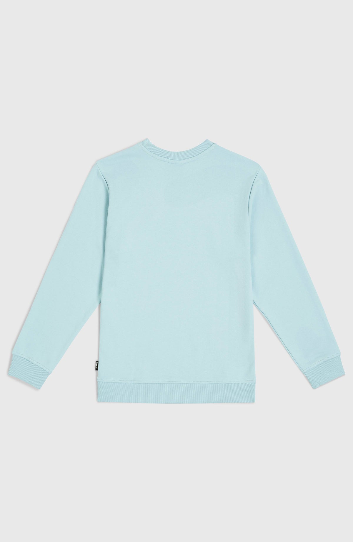 Sweatshirt Logo Crew | Morning Glory