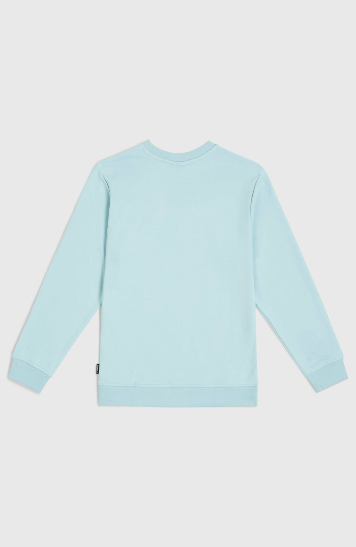 Sweatshirt Logo Crew | Morning Glory