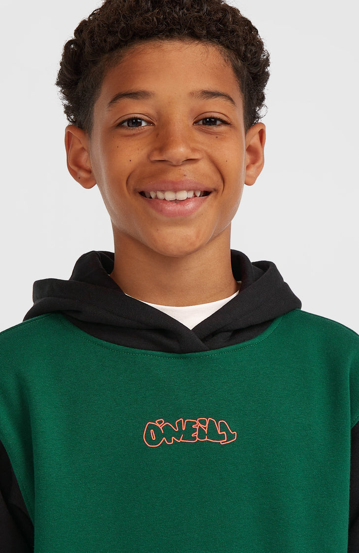 Sweat à capuche FWC'Play | Emerald Envy Colour Block
