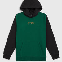 Sweat à capuche FWC'Play | Emerald Envy Colour Block